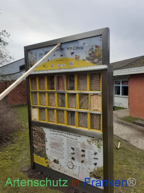 © Artenschutz in Franken® Bild zum Eintrag (1083417-160)