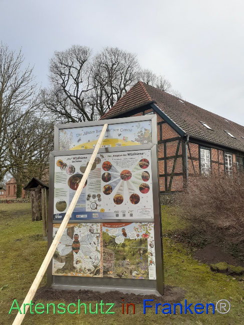 © Artenschutz in Franken® Bild zum Eintrag (1083418-160)