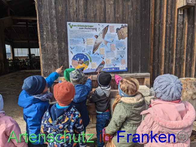 © Artenschutz in Franken® / Kita Bruckmühl Bild zum Eintrag (1083592-160)