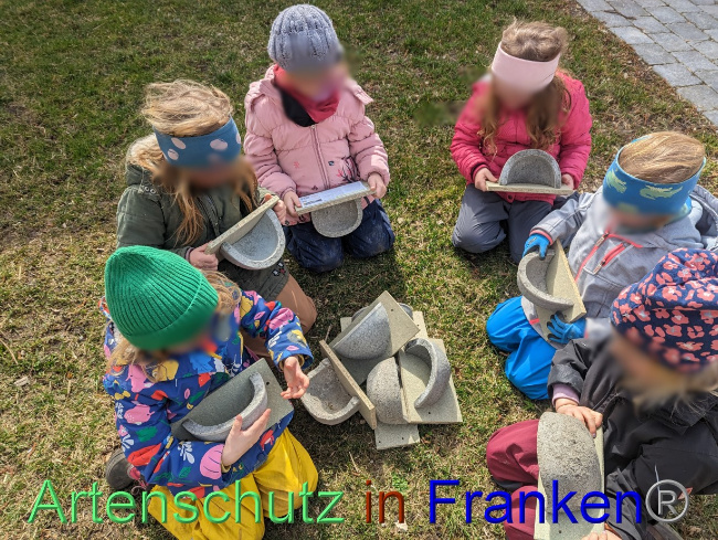 © Artenschutz in Franken® / Kita Bruckmühl Bild zum Eintrag (1083593-160)