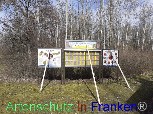 Bild zum Eintrag (1083601-160)