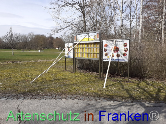 © Artenschutz in Franken® Bild zum Eintrag (1083602-160)