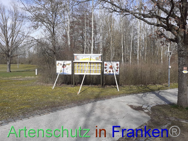 © Artenschutz in Franken® Bild zum Eintrag (1083603-160)