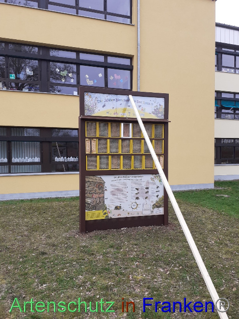© Artenschutz in Franken® Bild zum Eintrag (1083605-160)