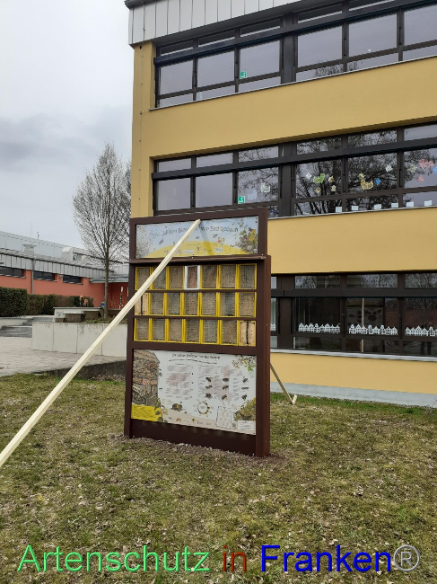 © Artenschutz in Franken® Bild zum Eintrag (1083606-160)