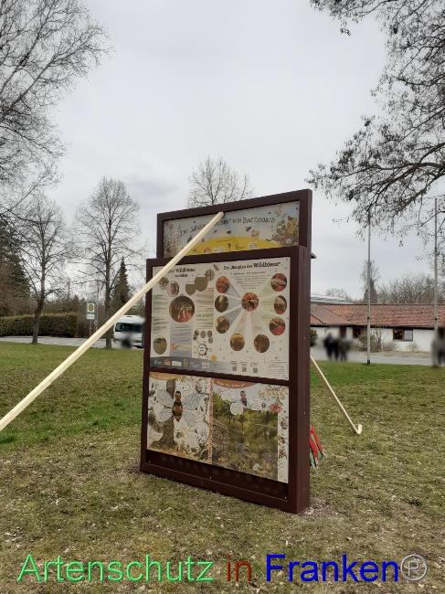 © Artenschutz in Franken® Bild zum Eintrag (1083607-160)