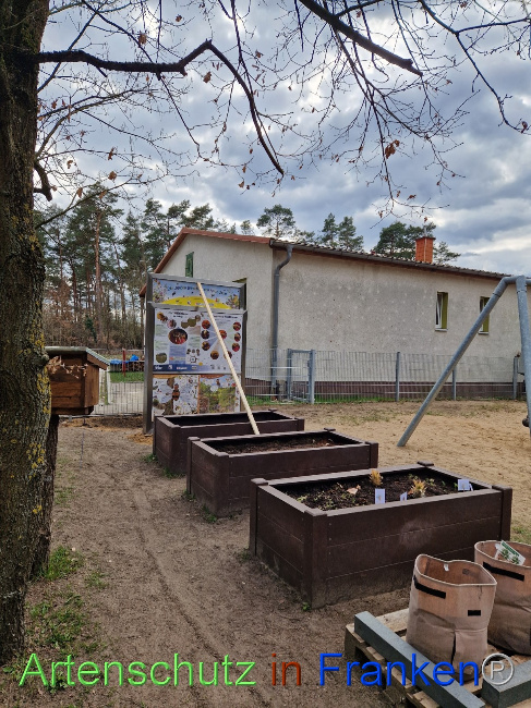© Artenschutz in Franken® Bild zum Eintrag (1084136-160)