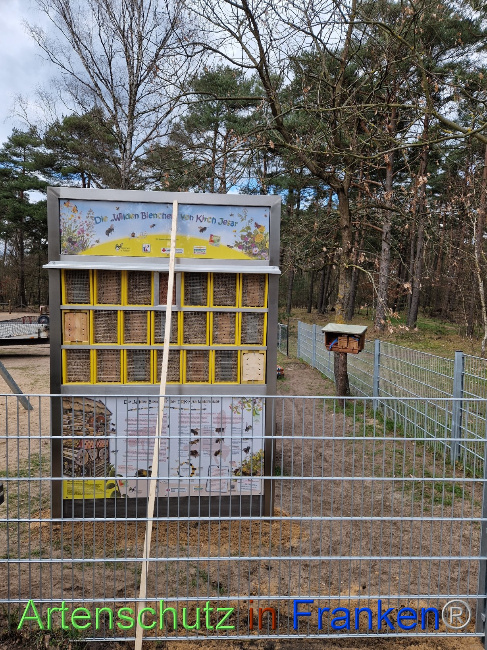 © Artenschutz in Franken® Bild zum Eintrag (1084138-160)