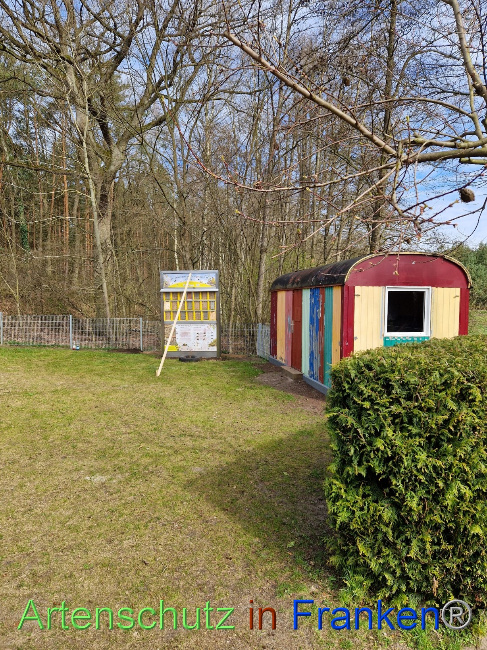 © Artenschutz in Franken® Bild zum Eintrag (1084145-160)