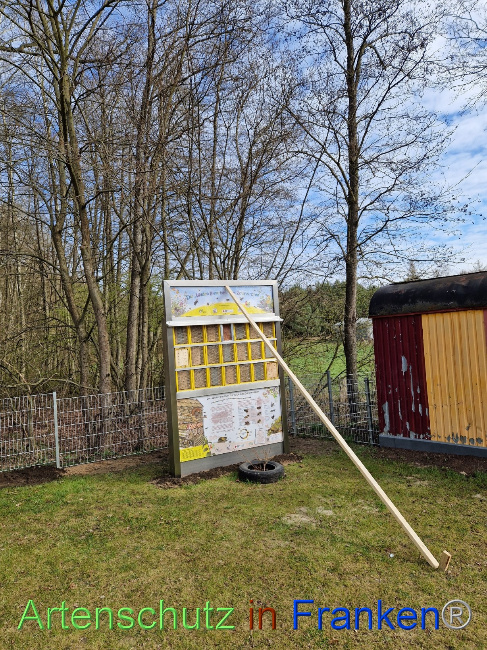 © Artenschutz in Franken® Bild zum Eintrag (1084146-160)