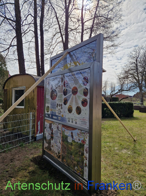 © Artenschutz in Franken® Bild zum Eintrag (1084147-160)