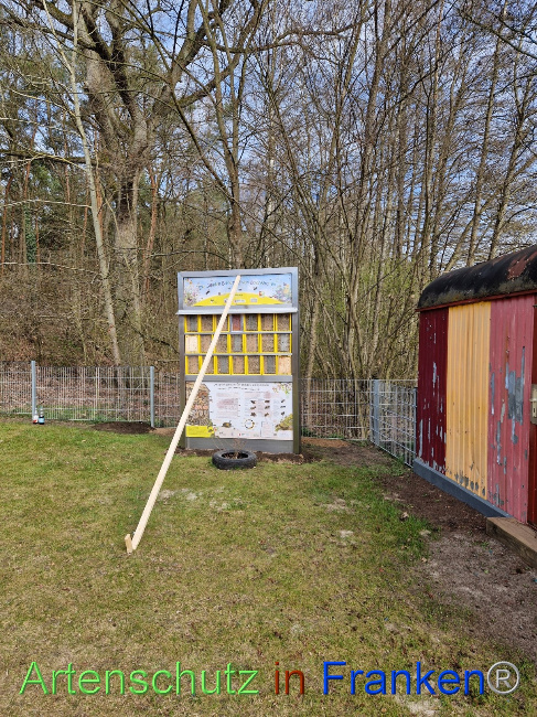 © Artenschutz in Franken® Bild zum Eintrag (1084148-160)