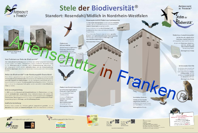 © Artenschutz in Franken® Bild zum Eintrag (1084168-160)