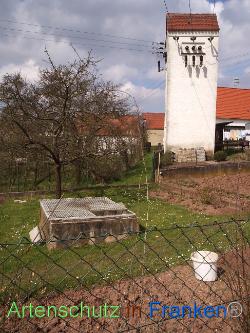 © Artenschutz in Franken® Bild zum Eintrag (1084371-160)