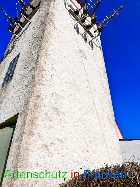 © Artenschutz in Franken® Bild zum Eintrag (1084376-160)