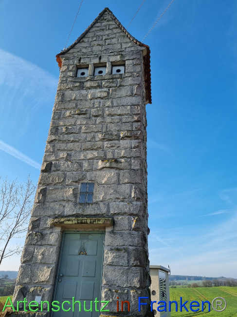 © Artenschutz in Franken® Bild zum Eintrag (1084428-160)