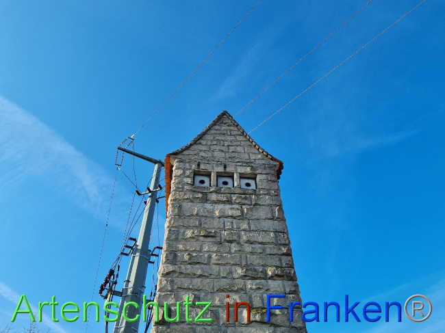 © Artenschutz in Franken® Bild zum Eintrag (1084430-160)