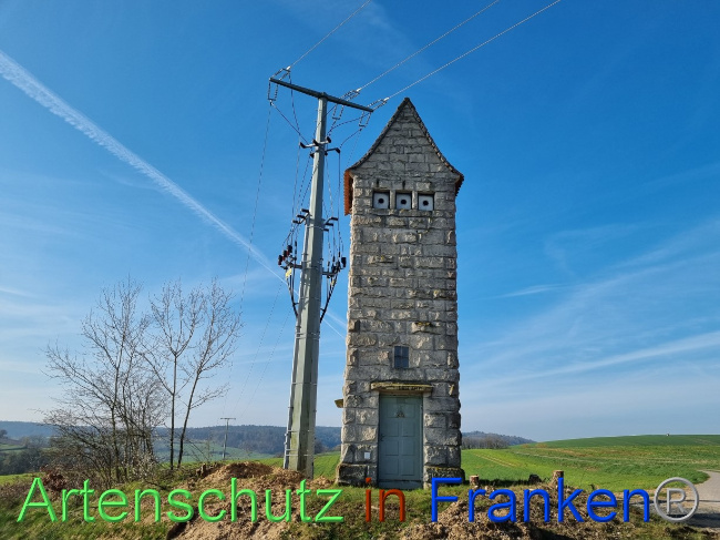 © Artenschutz in Franken® Bild zum Eintrag (1084434-160)