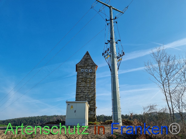 © Artenschutz in Franken® Bild zum Eintrag (1084435-160)