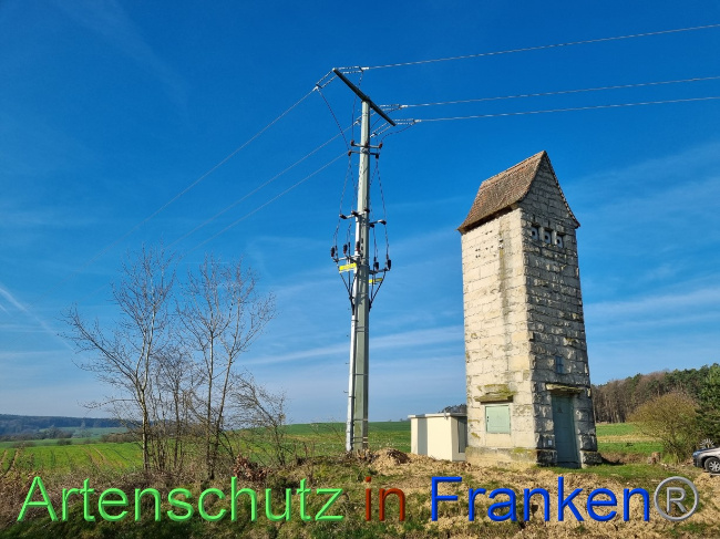 © Artenschutz in Franken® Bild zum Eintrag (1084436-160)