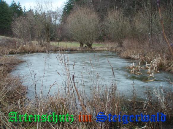 Copyright AiS / 2009 - Schmitt / Köhler Bild zum Eintrag (1084513-160)
