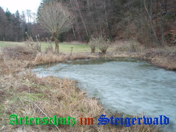 Copyright AiS / 2009 - Schmitt / Köhler Bild zum Eintrag (1084514-160)