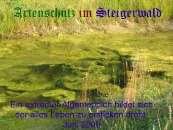 Bild zum Eintrag (1084516-160)