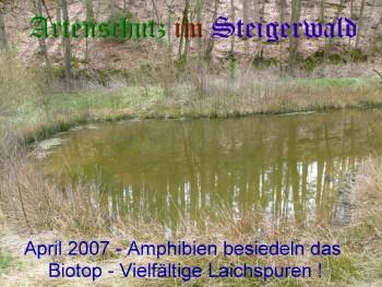 Copyright AiS / Köhler Bild zum Eintrag (1084517-160)