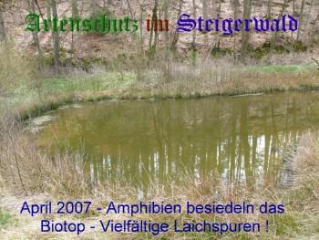 Bild zum Eintrag (1084517-160)