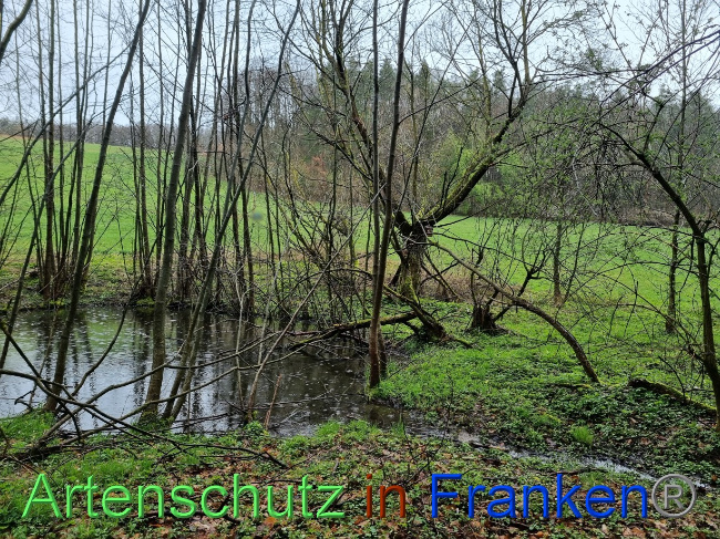 Bild zum Eintrag (1084538-160)