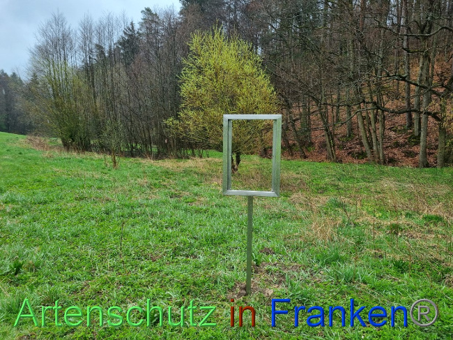 Bild zum Eintrag (1084569-160)