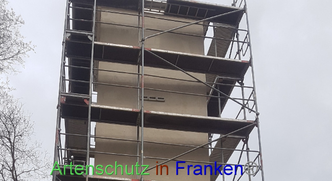 © Artenschutz in Franken® Bild zum Eintrag (1084648-160)