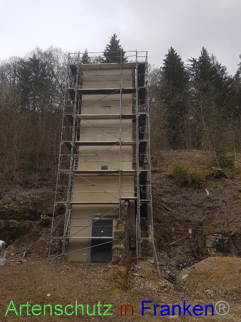 © Artenschutz in Franken® Bild zum Eintrag (1084652-160)