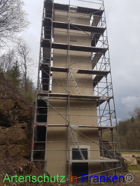 © Artenschutz in Franken® Bild zum Eintrag (1084653-160)
