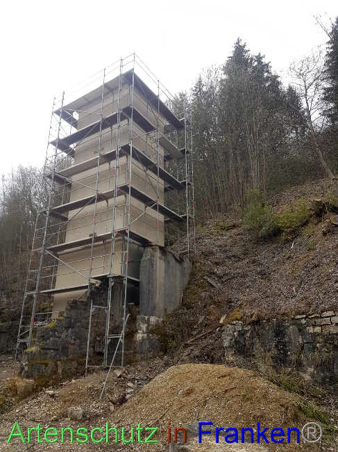 © Artenschutz in Franken® Bild zum Eintrag (1084654-160)