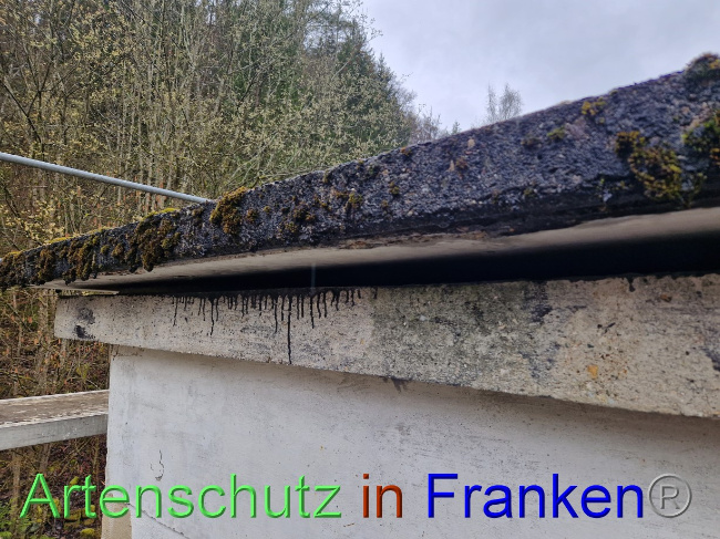 © Artenschutz in Franken® Bild zum Eintrag (1084694-160)