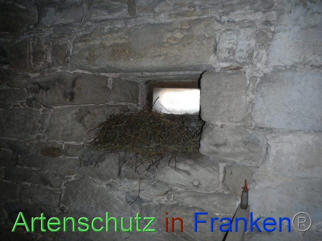 Bild zum Eintrag (1084728-160)