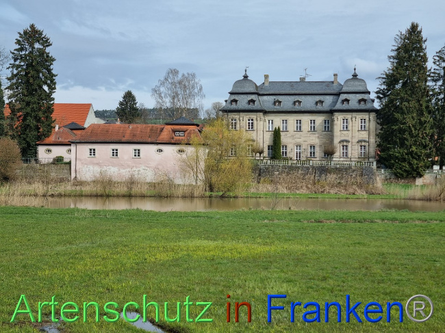 © Artenschutz in Franken® Bild zum Eintrag (1084742-160)