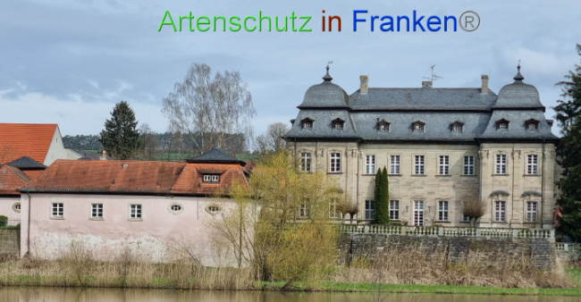 © Artenschutz in Franken® Bild zum Eintrag (1084743-160)