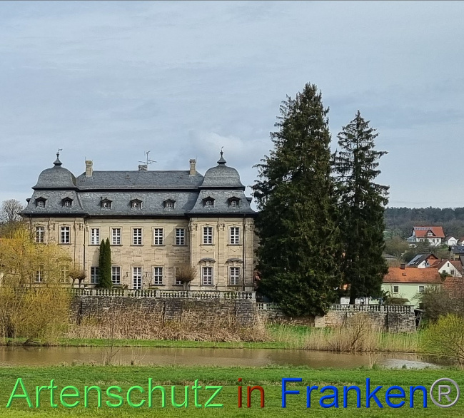 © Artenschutz in Franken® Bild zum Eintrag (1084745-160)