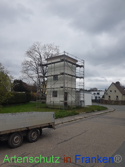© Artenschutz in Franken® Bild zum Eintrag (1084831-160)