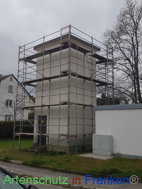 © Artenschutz in Franken® Bild zum Eintrag (1084832-160)