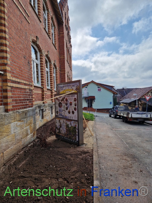 © Artenschutz in Franken® Bild zum Eintrag (1084869-160)