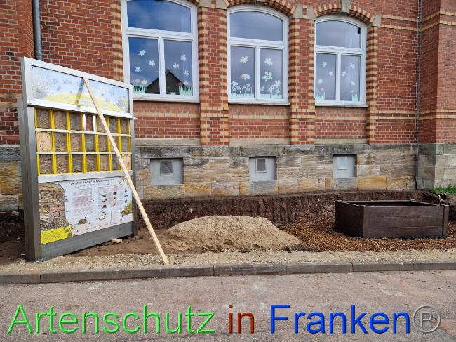 © Artenschutz in Franken® Bild zum Eintrag (1084870-160)
