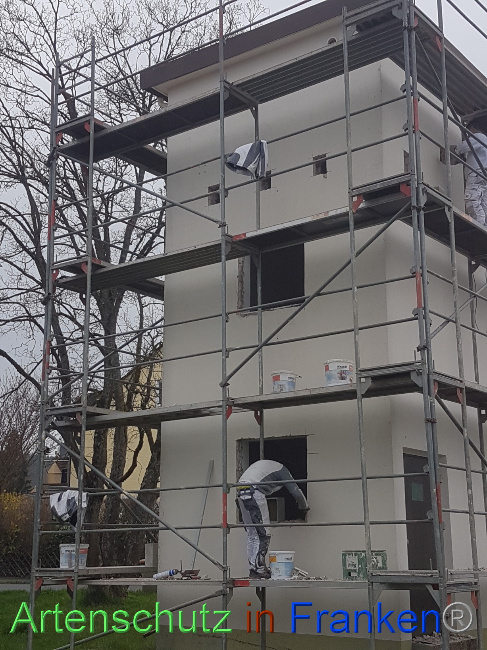 © Artenschutz in Franken® Bild zum Eintrag (1084916-160)