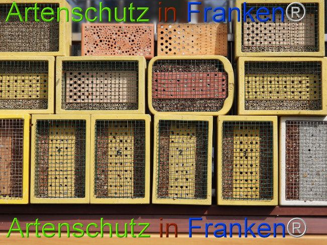 © Artenschutz in Franken® Bild zum Eintrag (1085100-160)