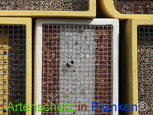 © Artenschutz in Franken® Bild zum Eintrag (1085107-160)