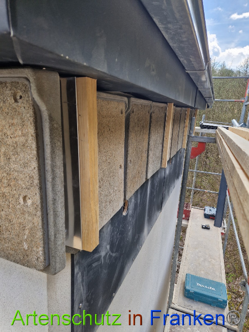 © Artenschutz in Franken® Bild zum Eintrag (1085270-160)