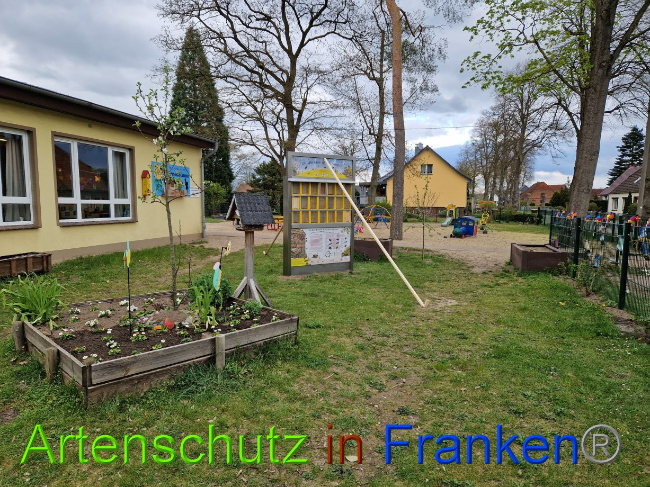 © Artenschutz in Franken® Bild zum Eintrag (1085276-160)