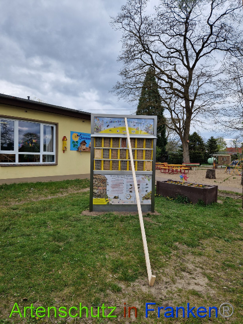 © Artenschutz in Franken® Bild zum Eintrag (1085278-160)